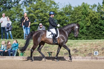 Bild 272 - Pony Akademie Turnier